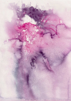 http://www.actionaqua.com/files/gimgs/th-120_Scan 5_v3.jpg